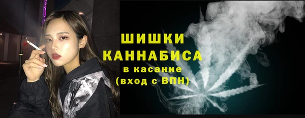 твердый Алзамай