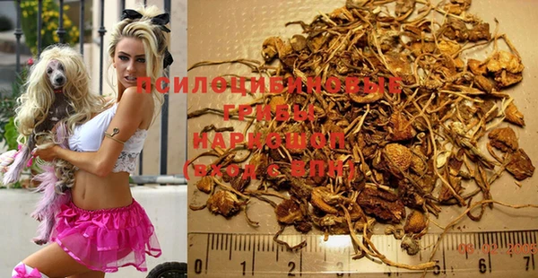 мескалин Нефтегорск