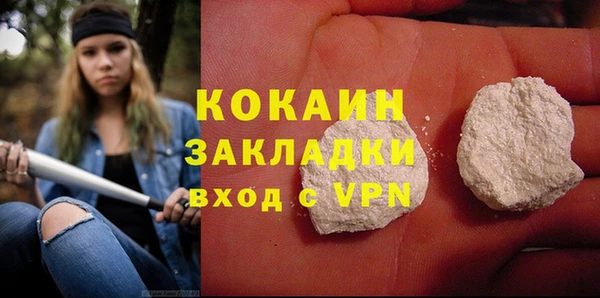твердый Алзамай