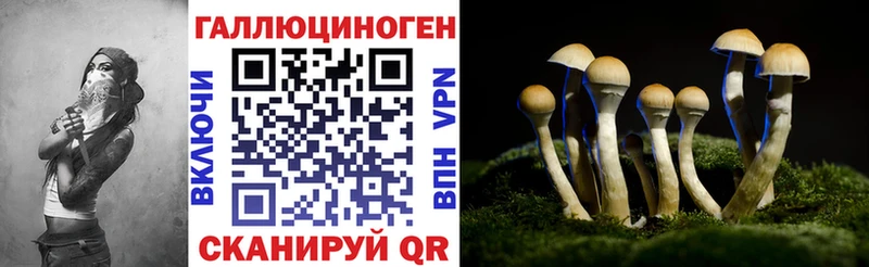 Галлюциногенные грибы прущие грибы  Катав-Ивановск 